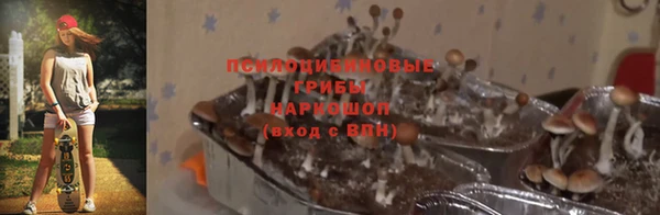 дурь Арсеньев