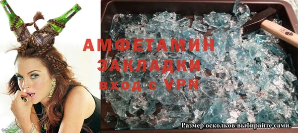 индика Няндома