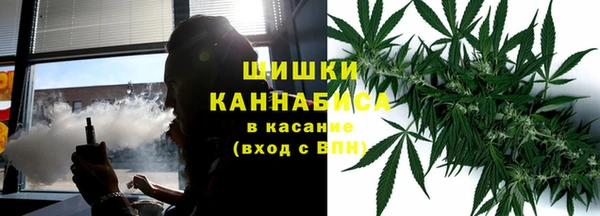дурь Арсеньев